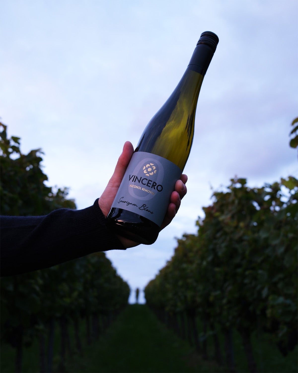 Sauvignon Blanc