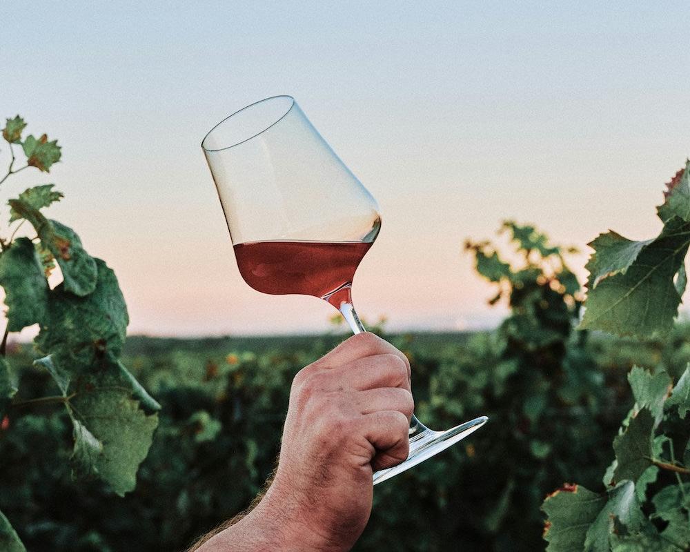 Glas alkoholfreier Wein im Weinberg